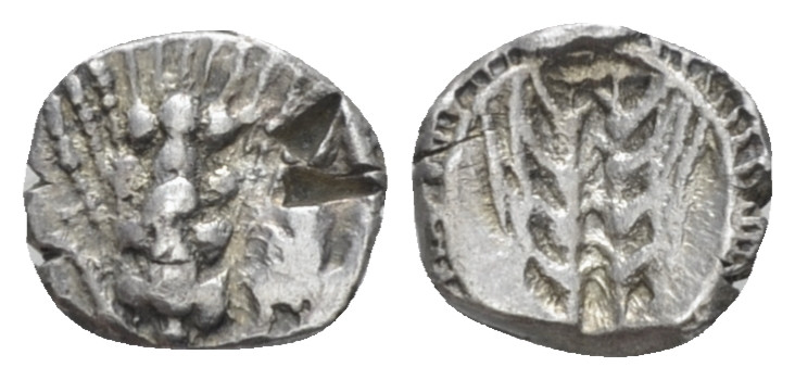 Lucania, Metapontum Obol circa 540-510, AR 7.00 mm., 0.43 g.
Ear of barley. Rev...