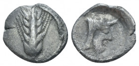Lucania, Metapontum Diobol circa 440-340