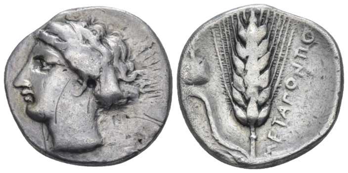 Lucania, Metapontum Nomos circa 400-340, AR 21.00 mm., 7.39 g.
Head of Demeter ...