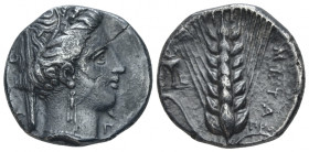 Lucania, Metapontum Nomos circa 340-330