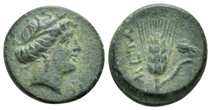Lucania, Metapontum Bronze circa 300-250, Æ 14.00 mm., 2.73 g.
Wreathed head of...