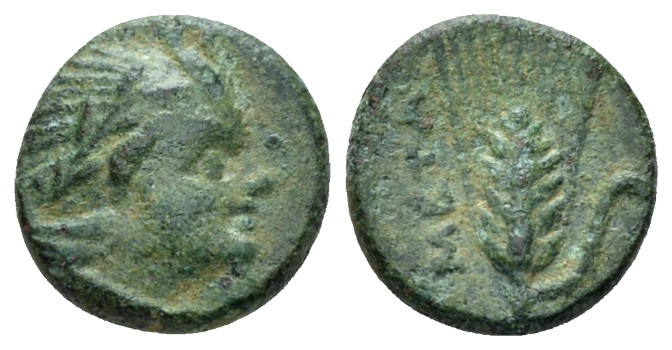 Lucania, Metapontum Bronze circa 300-250, Æ 11.00 mm., 1.14 g.
Laureate head of...