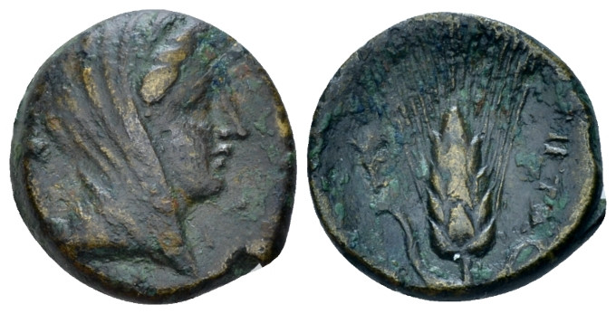 Lucania, Metapontum Bronze circa 300-250, Æ 15.00 mm., 2.50 g.
Veiled head of D...