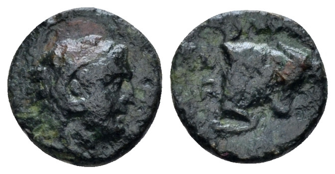 Lucania, Thurium Bronze circa 280-213, Æ 10.00 mm., 1.03 g.
Head of Heracles r....
