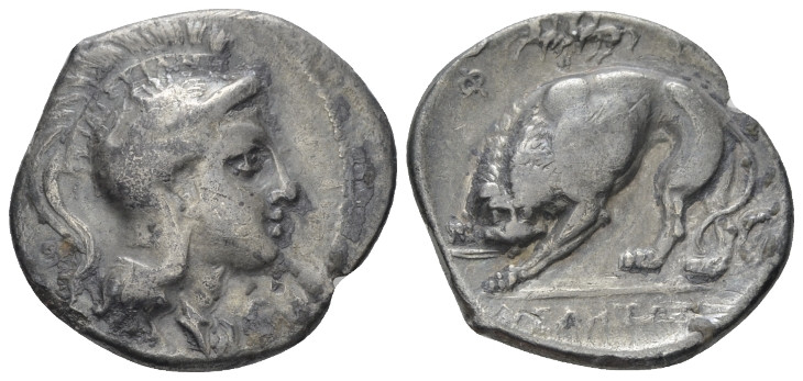 Lucania, Velia Didrachm circa 300-280, AR 22.00 mm., 7.21 g.
Head of Athena r.,...