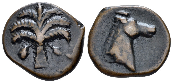 The Carthaginians in Sicily and North Africa, Carthage (?) Unit circa 400-350, Æ...