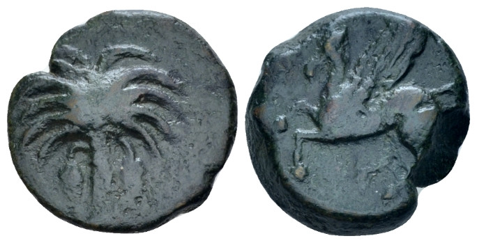 The Carthaginians in Sicily and North Africa, Uncertain mint Bronze circa 300-28...