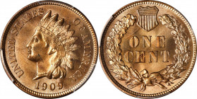 1909 Indian Cent. MS-64 RD (PCGS).
PCGS# 2237. NGC ID: 2297.

Estimate: $0.00- $0.00