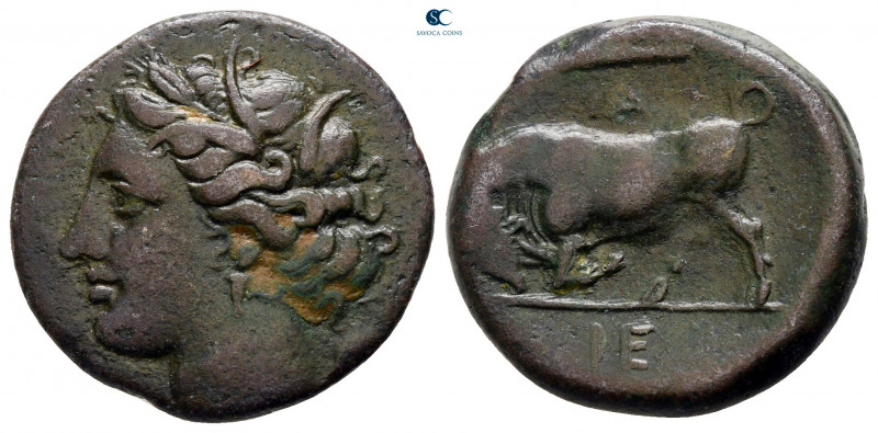 Sicily. Syracuse. Hieron II 275-215 BC. 
Bronze Æ

20 mm, 5,34 g



nearl...