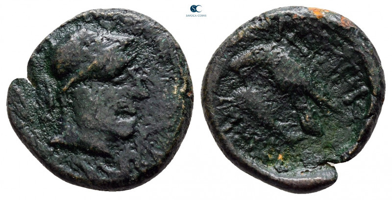 Moesia. Istrus circa 200-0 BC. 
Bronze Æ

13 mm, 1,93 g



nearly very fi...