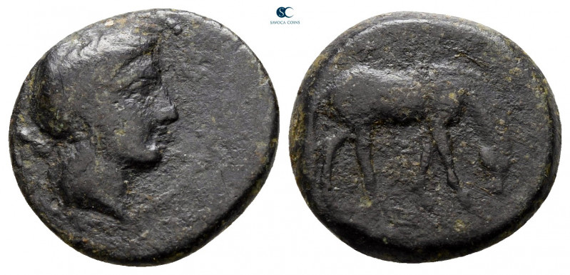 Thessaly. Atrax circa 400-300 BC. 
Bronze Æ

15 mm, 2,52 g



nearly very...