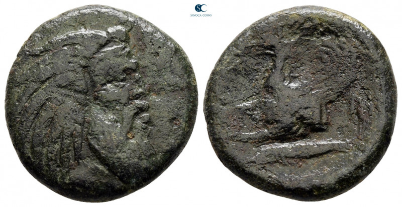 Cimmerian Bosporos. Pantikapaion circa 310-303 BC. 
Bronze Æ

20 mm, 5,96 g
...