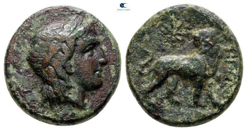 Ionia. Miletos circa 350-250 BC. 
Bronze Æ

15 mm, 3,24 g



nearly very ...