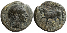 SELEUKID KINGS OF SYRIA. Seleukos II Kallinikos, 246-225 BC. Ae (bronze, 3.45 g, 17 mm). Diademed head to right. Rev. BAΣΙΛΕΩΣ [ΣΕΛΕΥΚΟΥ], horse pranc...