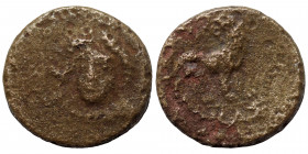 IONIA. Miletos. Circa 259-246 BC. Ae (bronze, 1.00 g, 11 mm) […] magistrate. Laureate head of Apollo facing slightly left. Rev: Lion standing right, h...