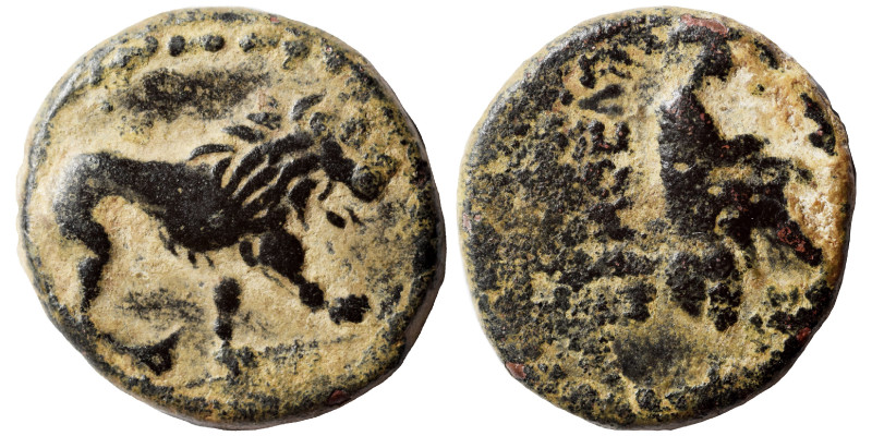 COMMAGENE. Samosata. 1st Century BC. Oktachalkon (bronze, 7.50 g, 21 mm). Lion w...