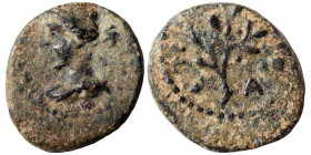 SYRIA, Seleucis and Pieria. Antioch (?). Pseudo-autonomous issue, circa 1-2nd century AD. Ae (bronze, 1.88 g, 15 mm). Head of Artemis (?) left. Rev. O...