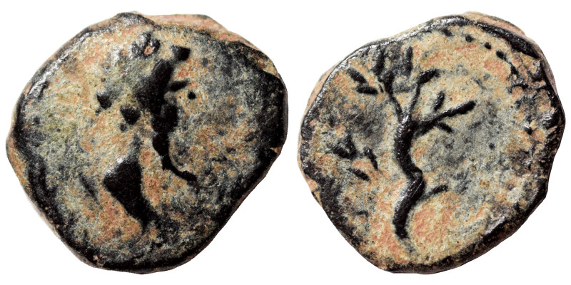 SYRIA, Seleucis and Pieria. Antioch (?). Pseudo-autonomous issue, circa 1-2nd ce...