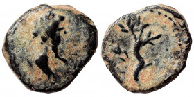 SYRIA, Seleucis and Pieria. Antioch (?). Pseudo-autonomous issue, circa 1-2nd century AD. Ae (bronze, 0.88 g, 11 mm). Bust right. Rev. Olive tree (?)....