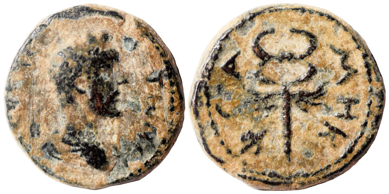 COMMAGENE. Samosata. Antoninus Pius. Ae (bronze, 1.82 g, 14 mm). Laureate-headed...