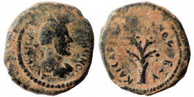 PHOENICIA. Caesarea ad Libanum. Antoninus Pius. Ae (bronze, 2.84 g, 15 mm). ΑVΤ ΚΑΙ […] ΑΝΤⲰΝƐΙΝΟϹ or similar, laureate-headed bust of Antoninus Pius ...