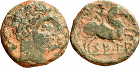 Segia (Ejea de los Caballeros). As. (FAB. 2159) (ACIP. 1449). 5,61 g. BC/MBC-.