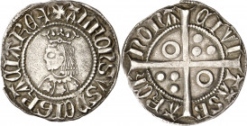Alfons III (1327-1336). Barcelona. Croat. (Cru.V.S. 366.2) (Cru.C.G. 2184). Flores de cinco pétalos en el vestido. Letras A sin travesaño excepto la p...