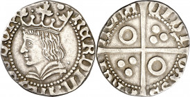 Ferran II (1479-1516). Barcelona. Croat. (Cru.V.S. 1137.1) (Cru.C.G. 3066). Ligeramente rocortada. Ex Áureo 02/07/2003, nº 215. 2,59 g. (MBC+).