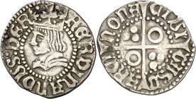 Ferran II (1479-1516). Barcelona. Mig croat. (Cru.V.S. 1143 var) (Cru.C.G. 3076e). Ex Áureo 03/03/1999, nº 1358. 1,58 g. MBC.