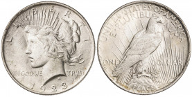 Estados Unidos. 1923. Filadelfia. 1 dólar. (Kr. 150). AG. 26,62 g. EBC.