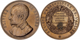 Francia. 1880. Sociedad de Agricultura de l'Allier. Grabador: H. de Longueil. Bronce. 61,63 g. Ø50 mm. EBC.