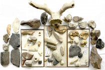 Lots
Umfangreiche Sammlung von Fossilien und Steinzeit-Werkzeugen. U.a. Trilobiten, ein Zahn des Mosasaurus, ein Ammonit-Fragment, ein Fisch-Fossil, ...