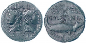 Kaiserzeit
Augustus 27 v. Chr. bis 14 n. Chr
As für Nemausus/Gallien 11/7 v.Chr. IMP PP DIVI F. Köpfe v. Augustus u. Agrippa gegeneinander/COL NEM. ...