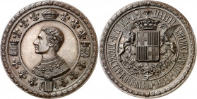 1875. Alfonso XII. Barcelona. Medalla. (Cru.Medalles 647b) (RAH 673) (Ruiz Trapero 796 var metal) (V. 459 var) (V.Q. 14389). Grabadores: J. Escriu y P...