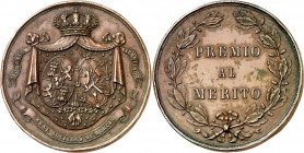 s/d (1875). Alfonso XII. Murcia. La Sociedad Económica de Amigos del País. Premio al Mérito. Medalla. Golpecitos. Bronce. 33,15 g. Ø39 mm. MBC+.