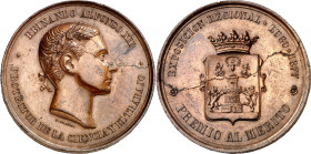 1877. Alfonso XII. Lugo. Exposición Nacional. Premio al Mérito. Medalla. (Cano 128) (RAH 675) (Ruiz Trapero 822 y 823 var metal) (V. 471 y 472 var met...