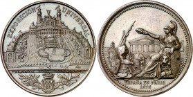 1878. Alfonso XII. Exposición Universal de París. Medalla. (Ruiz Trapero 837 rev y 838-839 anv) (V. 850 rev) (V.Q. 14395 rev). Grabador: F. Sala. Marc...