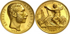 1883. Alfonso XII. Primera Exposición Minera. Medalla. (RAH 712 var ley. cartela) (Ruiz Trapero 923 var metal) (V. 515 var metal). Grabador: G. Sellán...