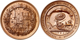 1884. Alfonso XII. Santiago. I Centenario de la Sociedad Económica de Amigos del País. Medalla. Muy bella. Bronce. 54,11 g. Ø47 mm. S/C.