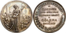 1885. Alfonso XII. Barcelona. Méritos contraídos durante la epidemia de cólera. Medalla. (Cru.Medalles 728). Muy bella. Brillo original. Preciosa páti...