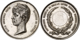 1887. Alfonso XIII. Madrid. Exposición General de Bellas Artes. Medalla. Grabador: B. Maura. Marca en canto: JUAN B FEU. Golpecitos. Plata. 66,70 g. Ø...