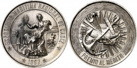 1887. Alfonso XIII. Cádiz. Exposición Marítima Nacional. Premio al Mérito. Medalla. (V. 538 var metal). Grabador: A. Galvien. Marca en canto: (J.) EST...