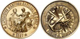1887. Alfonso XIII. Cádiz. Exposición Marítima Nacional. Premio al Mérito. Medalla. (V. 538 var metal). Grabador: A. Galvien. Marca en canto: J. ESTRU...