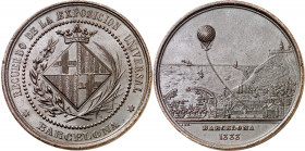 1888. Alfonso XIII. Barcelona. Recuerdo de la Exposición Universal. Medalla. (Cru.Medalles 768). Grabador: J. Morató. Golpecitos. Escasa. Bronce. 49,5...