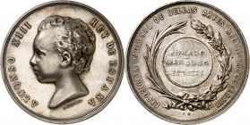1890. Alfonso XIII. Madrid. Exposición Nacional de Bellas Artes. Medalla. (V. 551). Grabador: B. Maura. Golpecitos. Plata. 65,70 g. Ø50 mm. (EBC-).