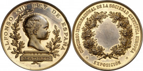 1890. Alfonso XIII. Madrid. Concurso Internacional de la Sociedad Científica Europea. Medalla. Grabador: Angelet. Medalla sin grabar, no otorgada. Bro...