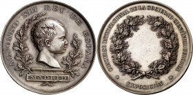 1890. Alfonso XIII. Madrid. Concurso Internacional de la Sociedad Científica Europea. Medalla. Grabador: Angelet. Medalla sin grabar, no otorgada. Gol...