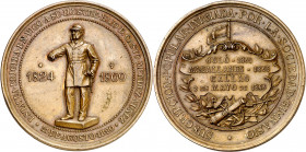 1890. Alfonso XIII. Vigo. Estatua de Casto Méndez Núñez. Medalla. (V. 859 var metal). Escasa. Bronce. 25,70 g. Ø40 mm. EBC-.