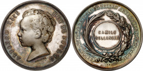 1892. Alfonso XIII. Madrid. Exposición Internacional de Bellas Artes. Medalla. (V. 551 sim). Grabador: B. Maura. En estuche original en piel negra de ...
