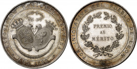 1892. Alfonso XIII. León. Exposición Regional Leonesa. Premio al Mérito. Medalla. Bella. Bronce plateado. 42,87 g. Ø45 mm. EBC+.